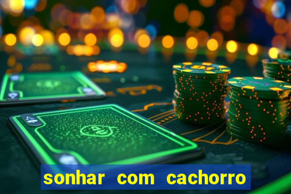 sonhar com cachorro morto jogo do bicho
